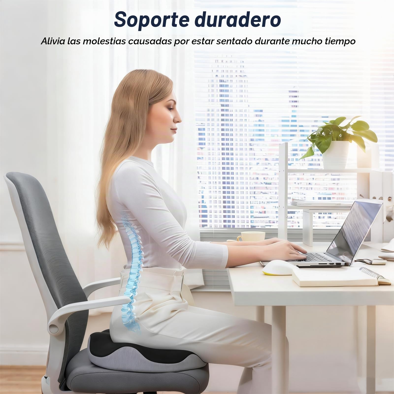 Cojín para Coxis, Cojín Hemorroides, Alfombrillas Antiescaras, Alfombrillas Ortopédico, Funda Desenfundable, para Oficina, Coche, Silla Ruedas, Hogar