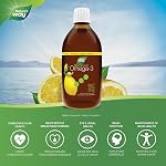 Nature's Way NutraSea Huile de Poisson Oméga 3 Liquide – Saveur Citron Zesty, Non-OGM – Soutien Cardiaque & Cérébral – EPA & DHA, 500 mL