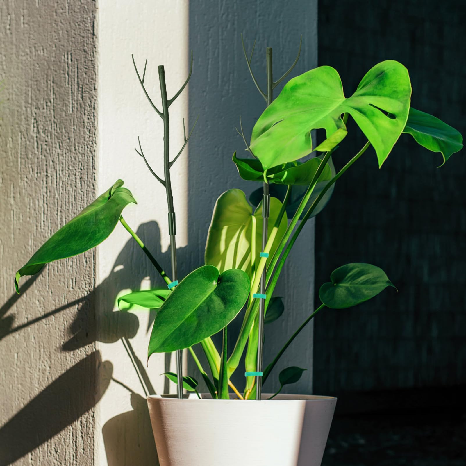 SUPVOX Lot de Tuteurs pour Plantes Monstera, Support de Tige en Plastique, Clips et Liens Torsadés, pour Intérieur et Jardin