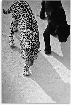 Black And White Poster Y2K Vintage Luxury Posters Panther Fashion Prints Funky Canvas Wall Art for Modern Bedroom Dorm Living Room Office Decor Unframe-style 12x18inch30x45cm