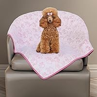 Vista 25 de Stuffed Manta suave de alta calidad lavable para perros, manta de gato de 40 x 32 pulgadas para gatos de interior, artículos esenciales para Gris