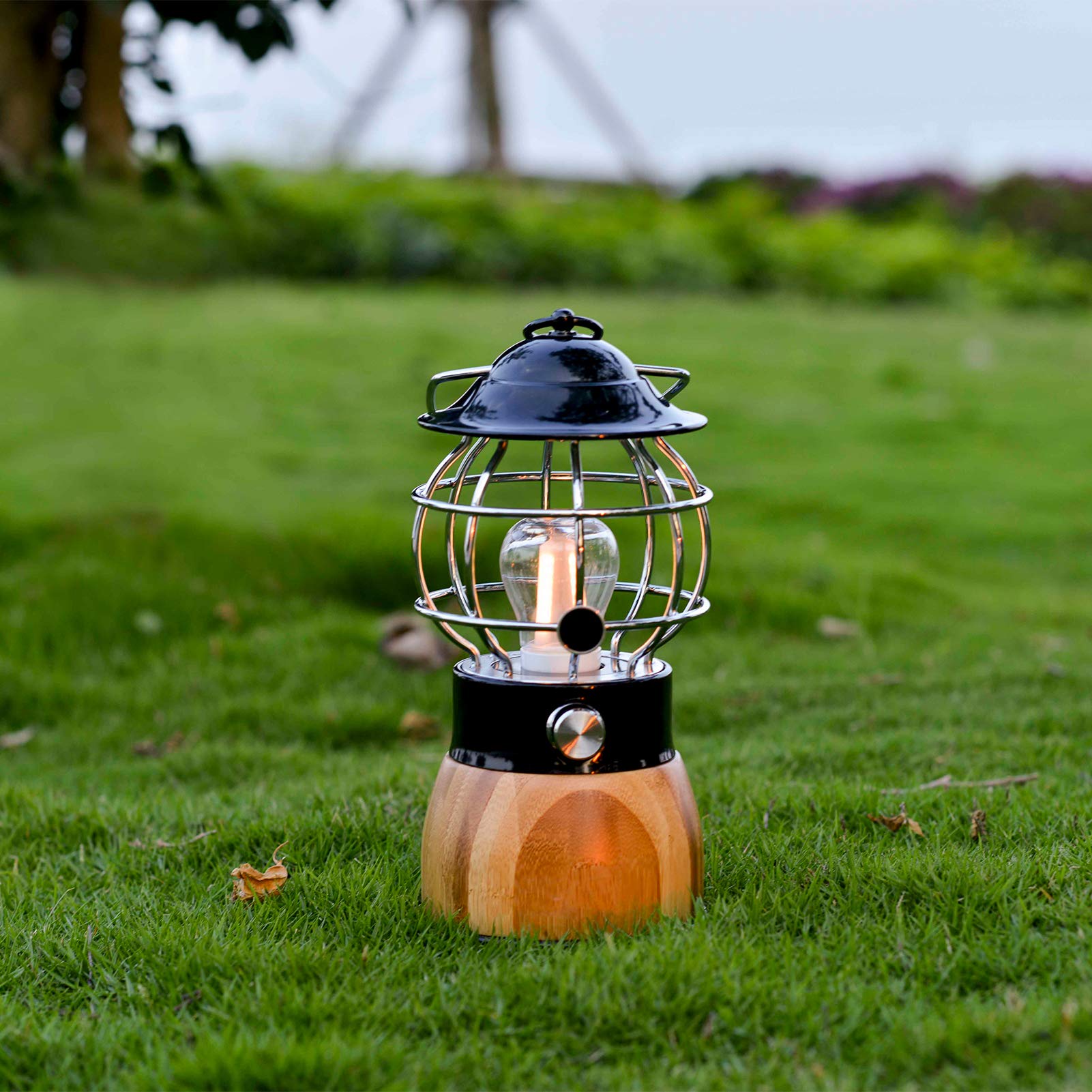 Amazon.com: CAMMILE LED Camping Lantern, Battery Powered Lights