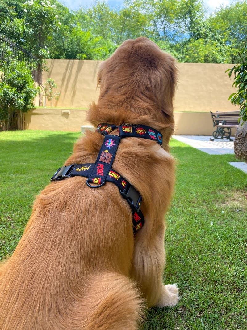 See full amazon price history chart for Lana Paws Comic Strip Non-restrictive, Comfortable & Sturdy Dog H Harness Lana Paws Comic Strip Non-restrictive, Comfortable & Sturdy Dog H Harness (B08ZD8DD47) Amazon Price History, Amazon Price Tracker