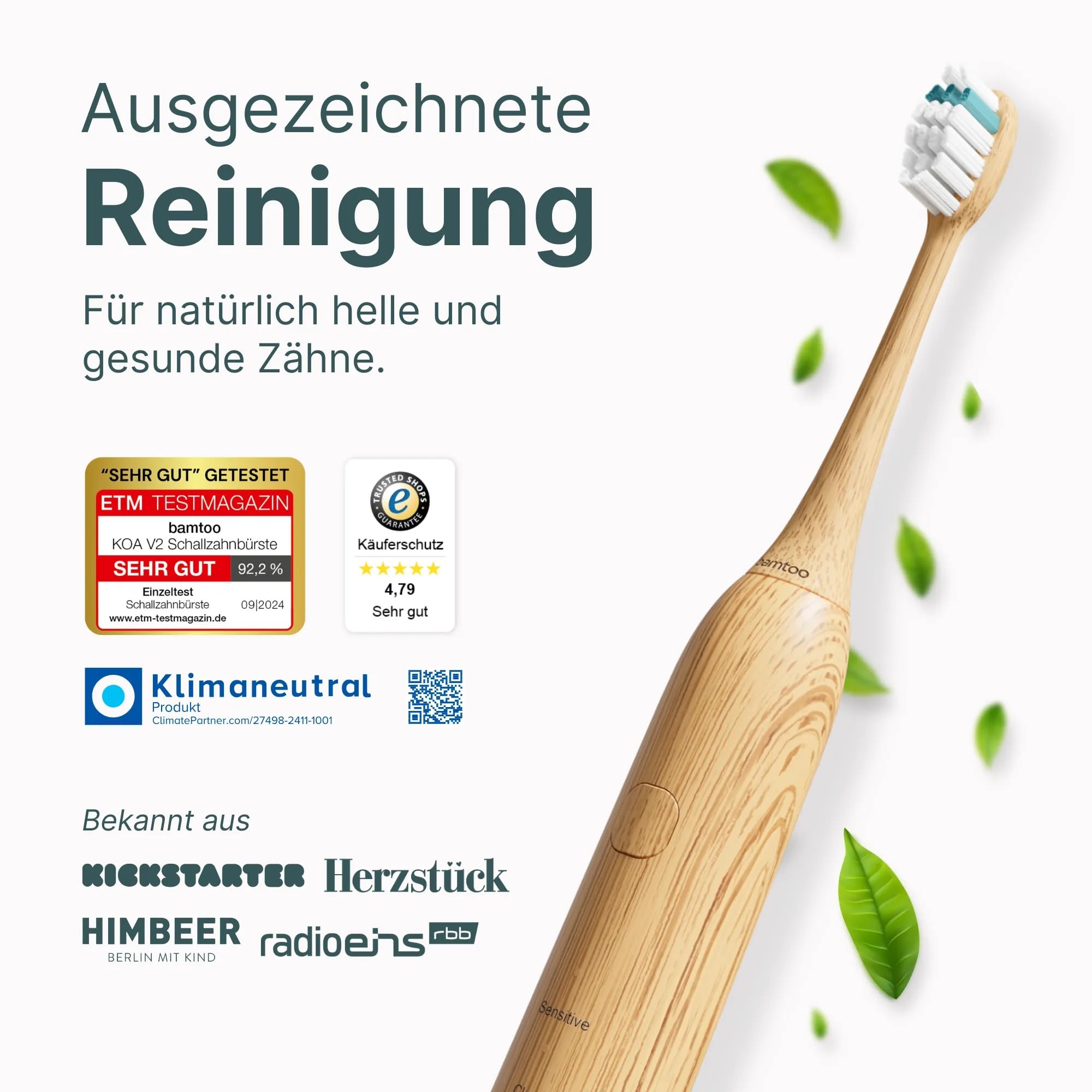 Schallzahnbürste KOA V2 Pro - elektrische Zahnbürste mit über 8 Wochen Akkulaufzeit & 5 Reinigungsmodi - inkl. Bambus-Bürstenkopf, Reiseetui & Smart-Timer - 2 Jahre Garantie - bamtoo