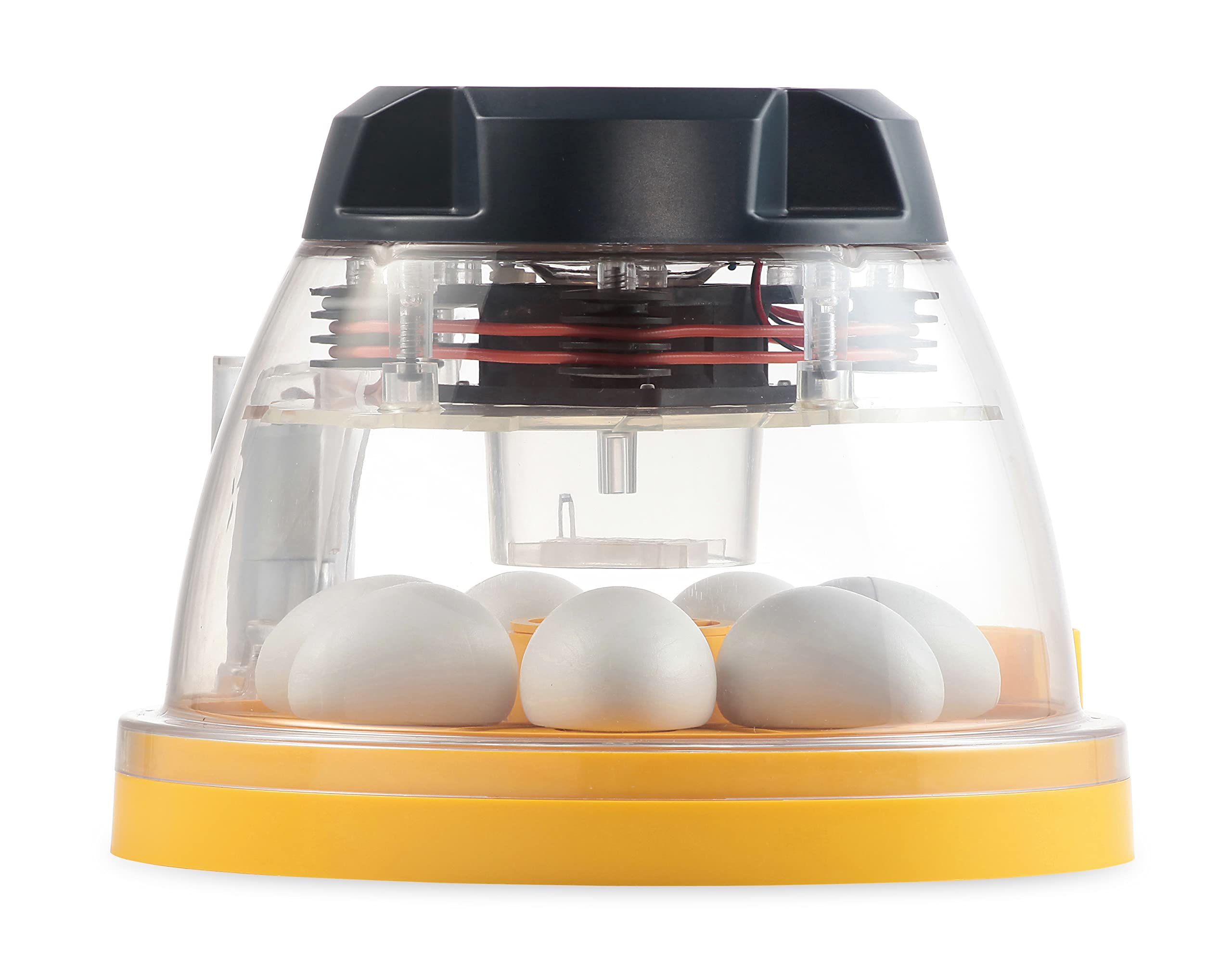 FINCA CASAREJO Incubadora 7 Huevos BRINSEA Mini II Advance - Incubadora automática, Digital con volteo automático