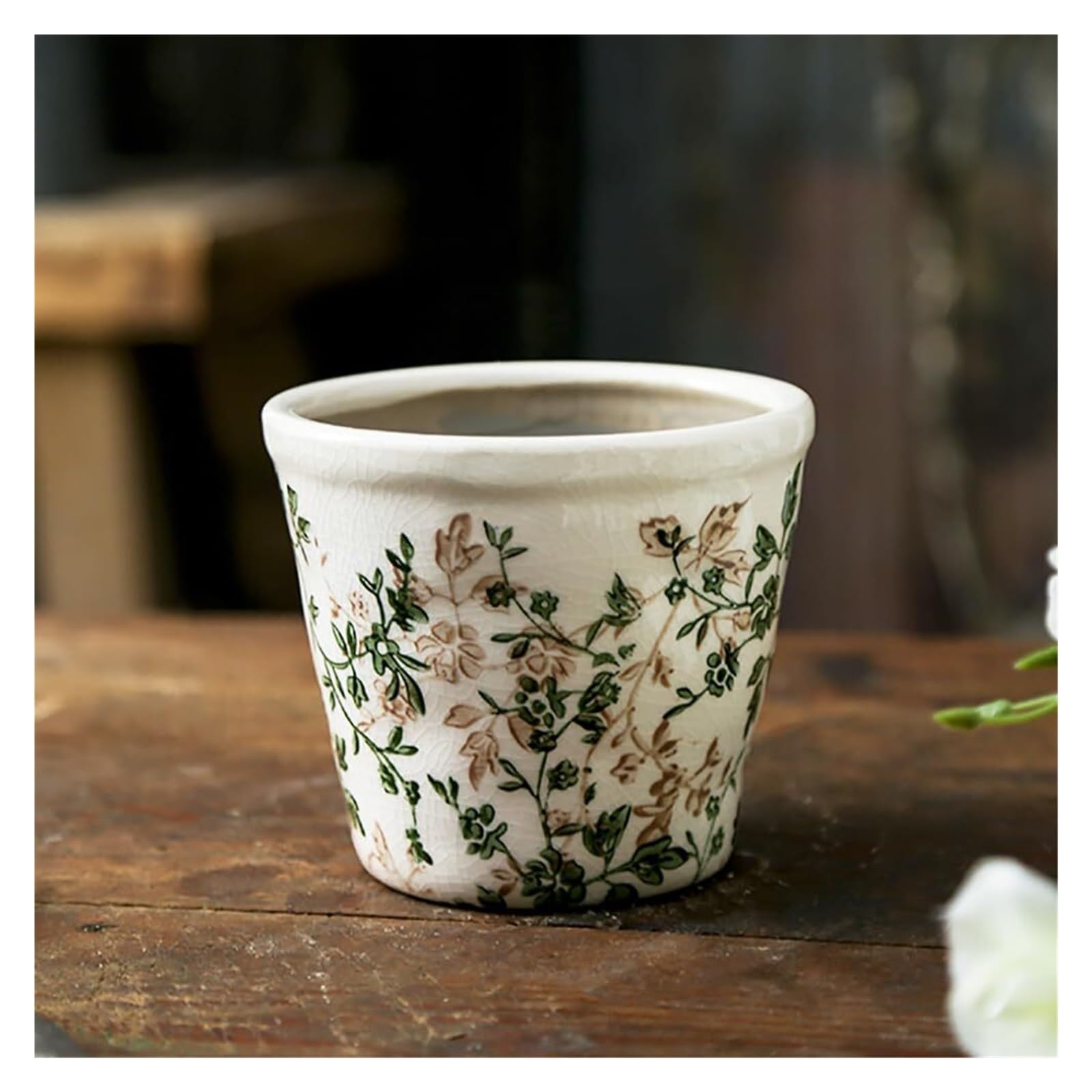 Pots de fleurs amusants pour décoration de porche et succulentes