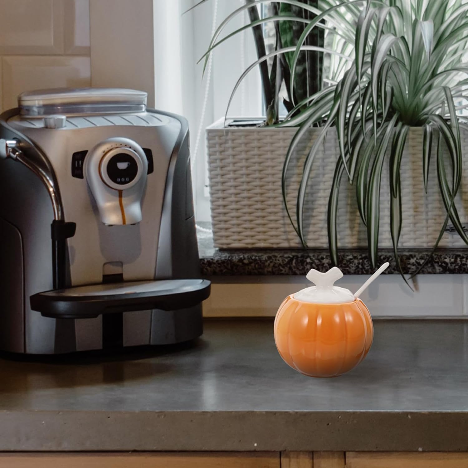 Vaguelly Pumpkin Shape Ceramic Seasoning Jar for Salt and Spice Storage