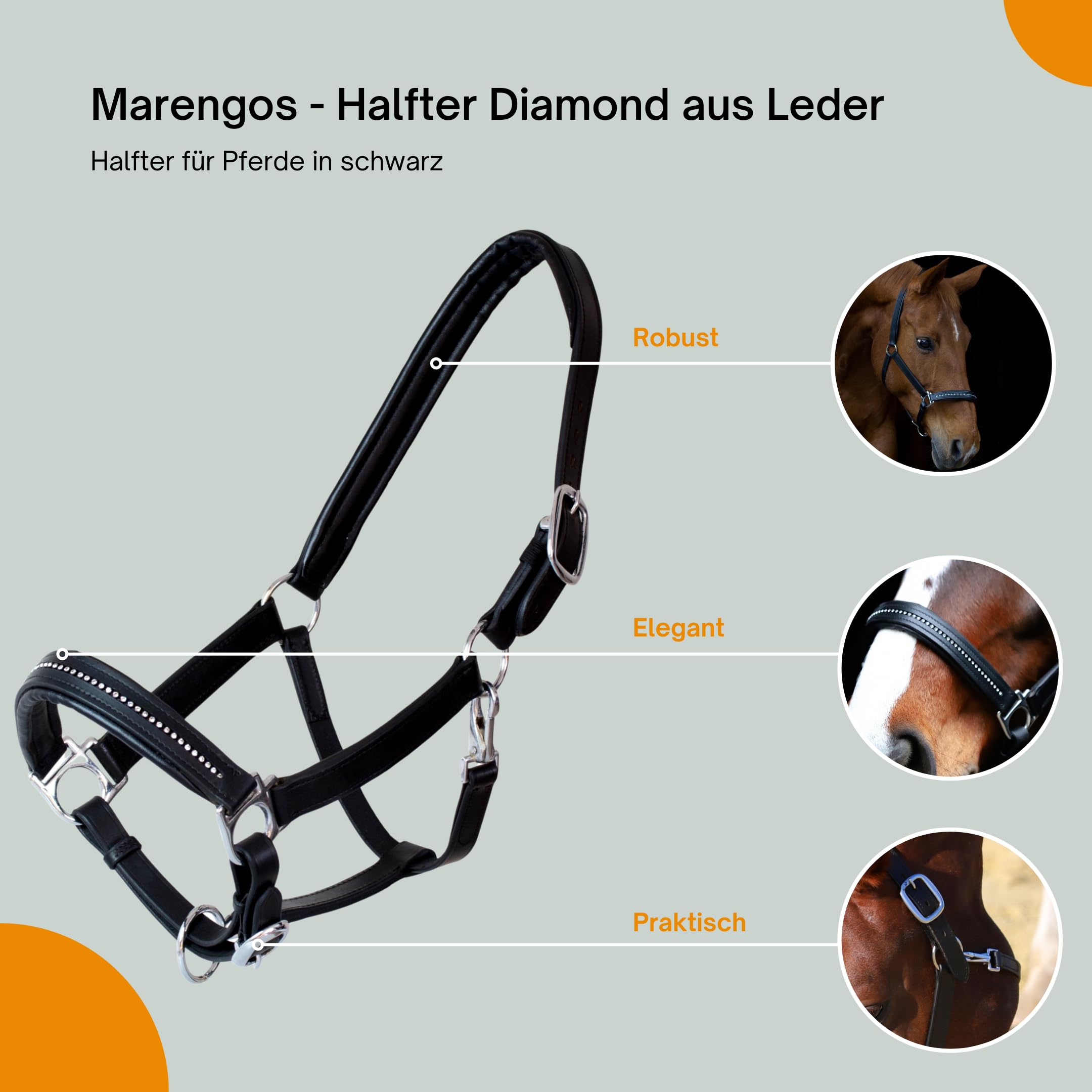 Marengos - Halfter Diamond aus Leder | Halfter für Pferde | Pferdehalfter mit farbig unterlegtem Nasenriemen & Genickstück | edles Lederhalfter | Pferde Zubehör in Schwarz | Warmblut
