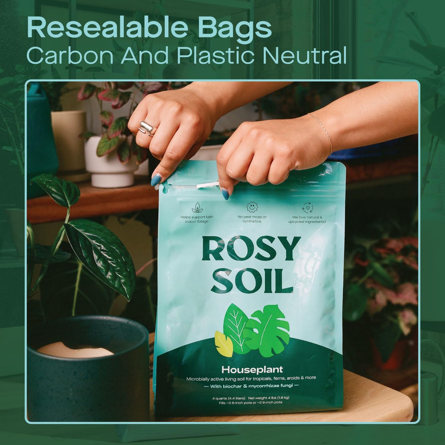 Rosy Soil Indoor Potting Soil for House Plants - Organic Potting Soil Mix for Indoor Plants - Enriched w/Root-Boosting Biochar for Foliage Plants, Flowers, Herbs - Peat Free, Less Prone to Gnats - 4qt - Image 5