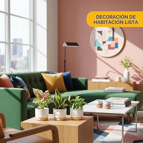 Miniatura 2 de Costa Farms Plantas vivas de interior en macetas decorativas, fáciles de mantener, plantas purificadoras de aire, variedades surtidas, decoración