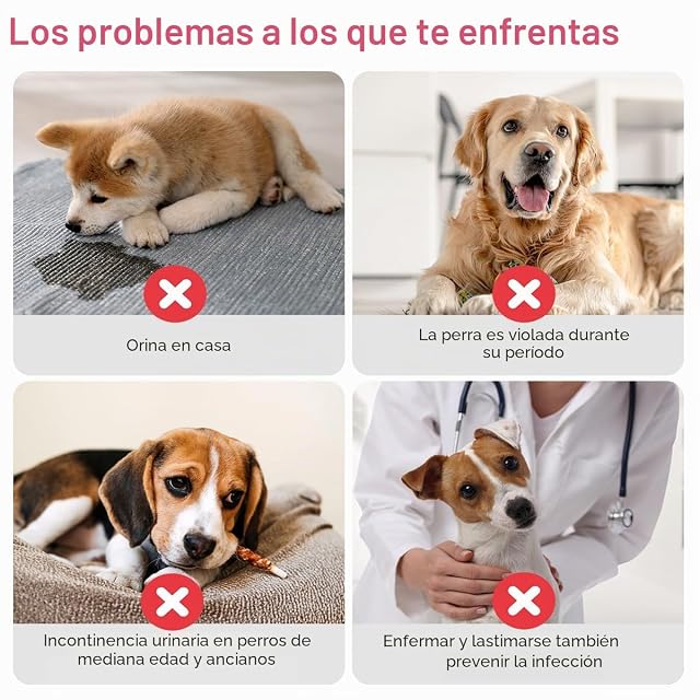 Foto 6 de 6 de Flying Paws Pañales Perro Hembra Desechables Ajustable M-40 Paquetes