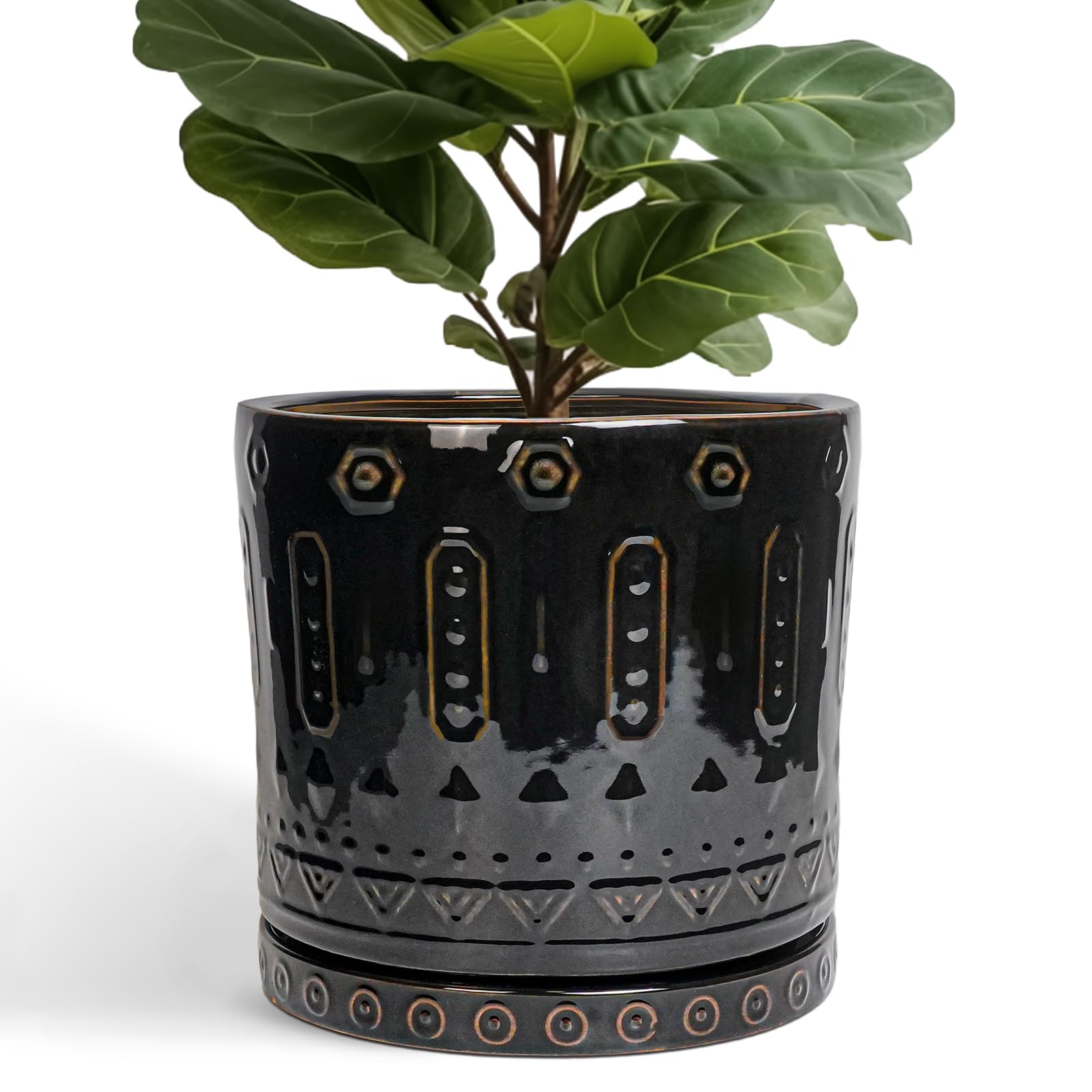 Eightpot black ceramic planter