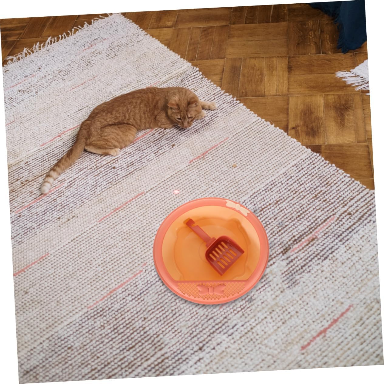 Toyvian 1set Type Cat Litter Box Splash Resistant Low Entry Design for Easy Access for Comfort for Indoor Use Includes Shovel for Quick Cleaning