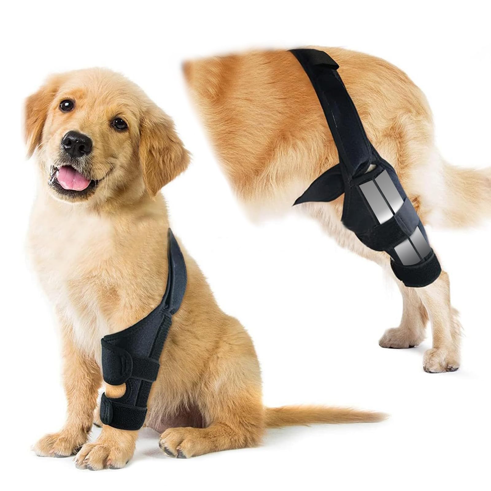 Hunde-Kniebandage für Hinterbeine, verstellbare ACL-Genesungshilfe für Hunderückenbeine, Kreuzbandstütze für verletzte ältere Hunde, warme Gelenk- und Linderungsschmerzen, Tauchtuch-Material (Schwarz