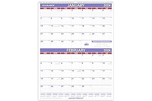 AT-A-GLANCE 2024 Wall Calendar, 22" x 29", Large, 2-Month (PM92824)
