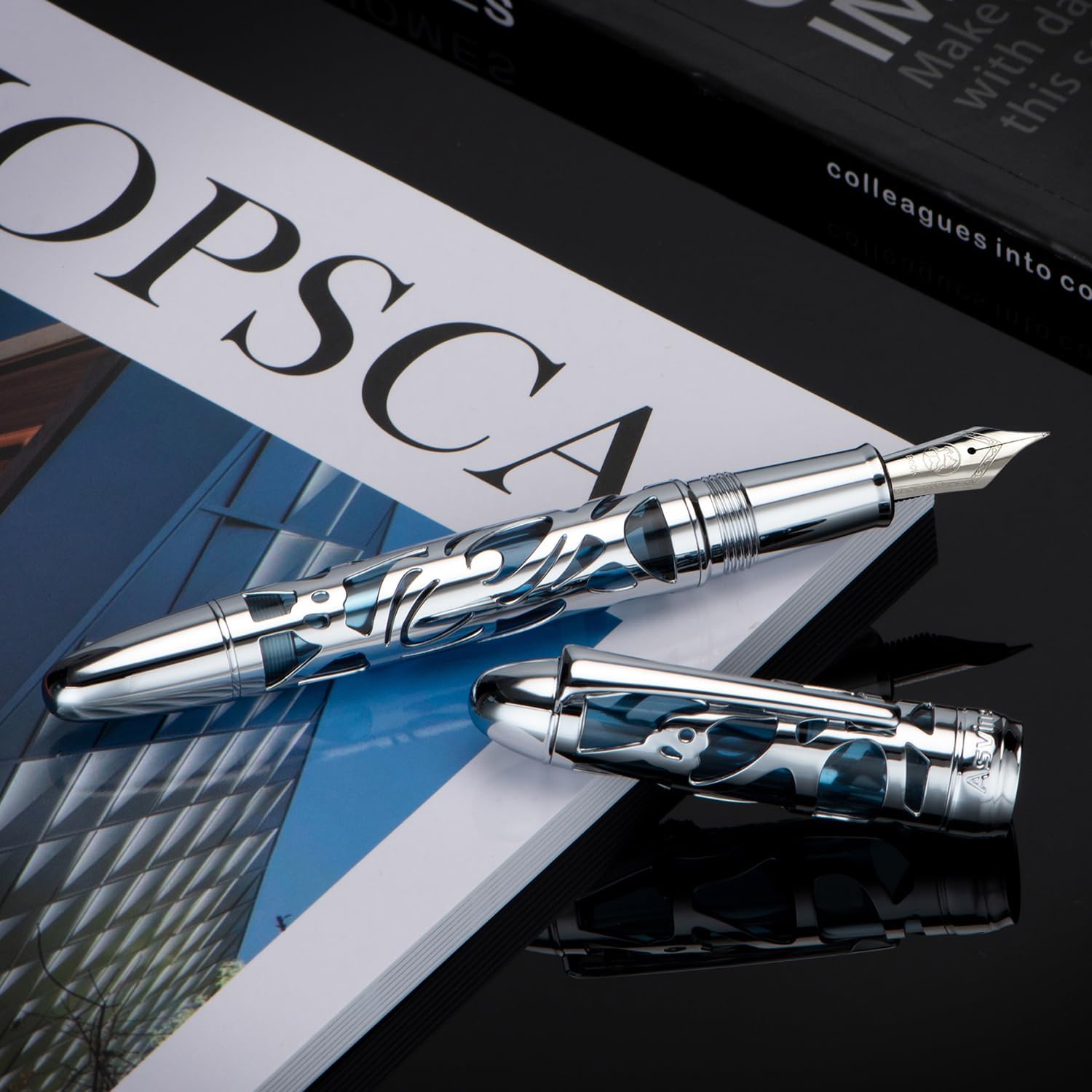 Asvine P80 Piston Filling Fountain Pen Bock Fine Nib, Spider Skeleton Transparent Gray Blue Acrylic Pen Case and Wrench Set