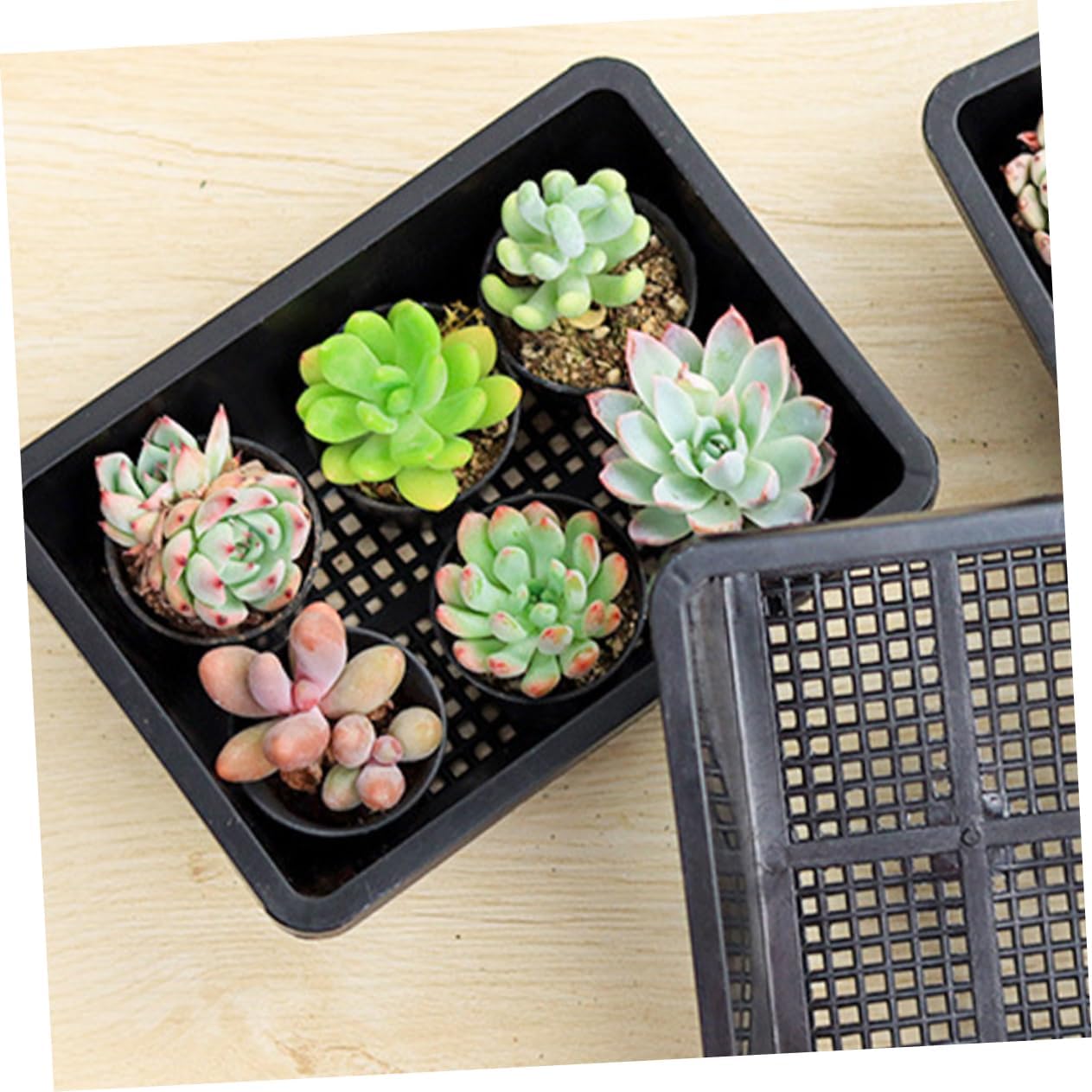 20pcs Plant Nursery Tray Versatile Germination Trays for Flowers Vegetables Planting Containers for Garden Balcony and Terrace Use