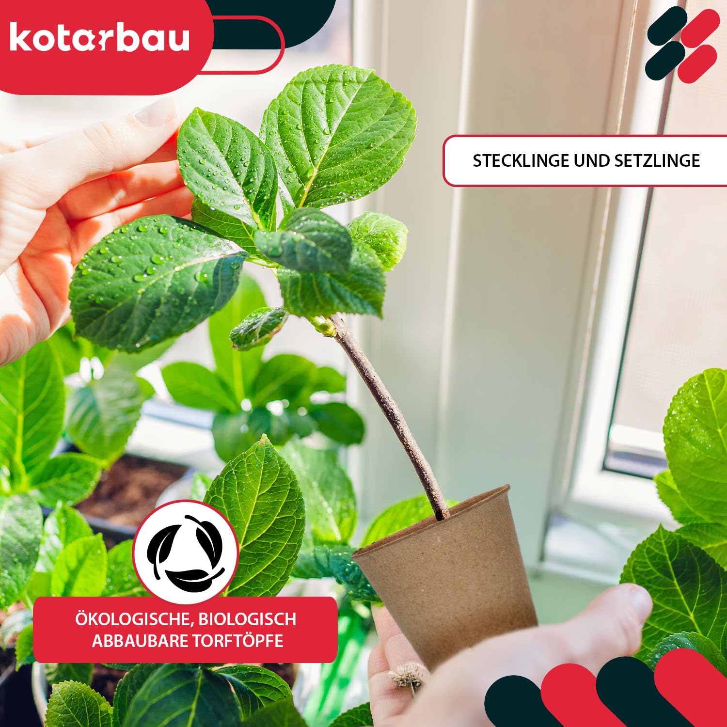 KOTARBAU® - Vasetti di torba biodegradabili, vasi in torba, 60 pezzi, 6x6 cm