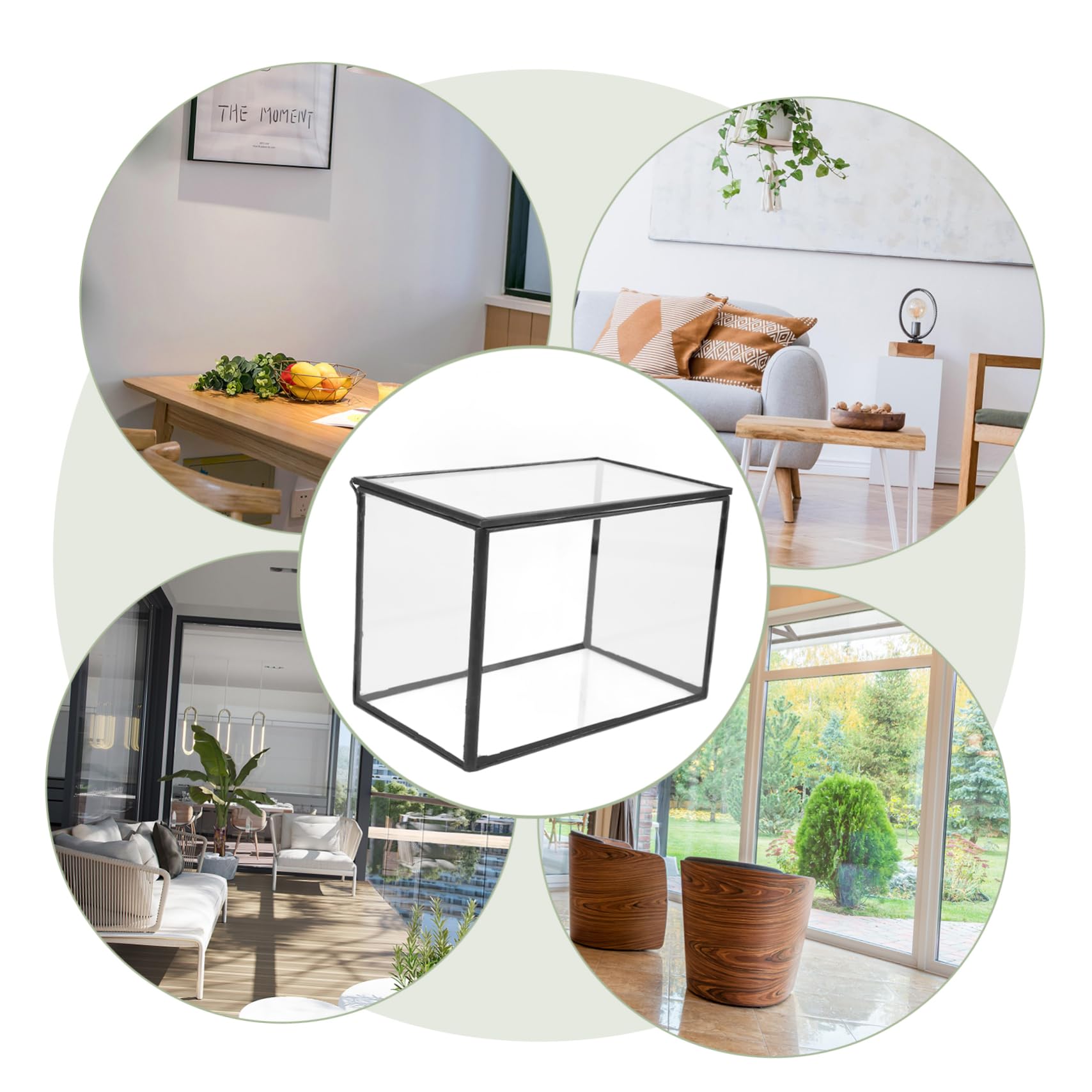 Terrario Per Piante Succulente Contenitore Trasparente Per Paesaggi Design Artistico Per Decorazione Casa e Ufficio Compatte e Leggere Per Progetti e Regali Originali