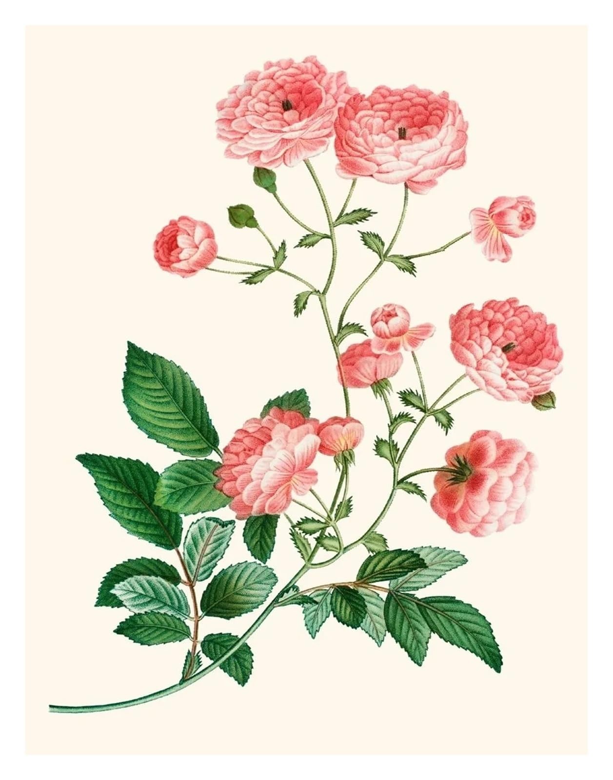 Art mural moderne fleurs antiques peinture sur toile haut de gamme