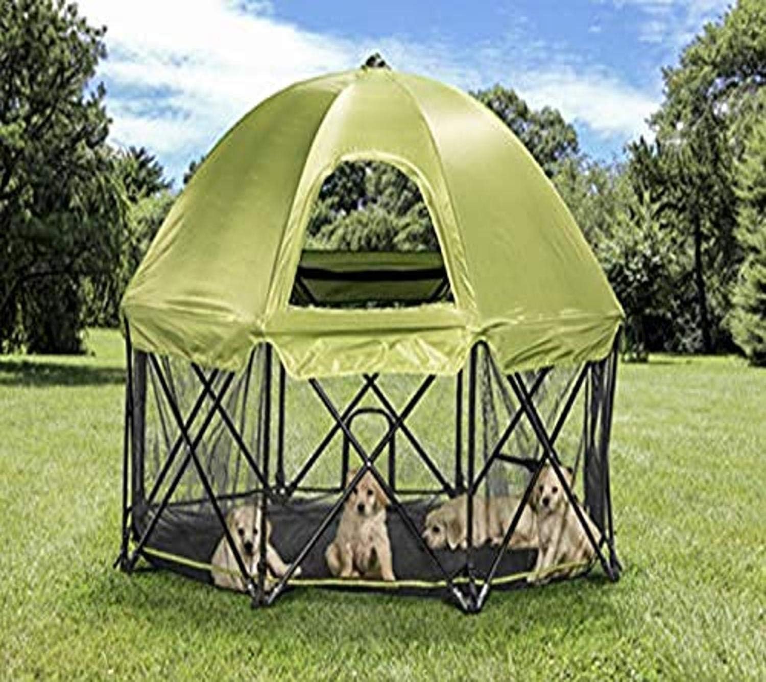 Carlson Pet Products 8-Panel Foldable and Portable Steel Pet Exercise and Play Pen, with Carrying Case and Full UV Canopy, Green, Large (2800) : Pet Supplies