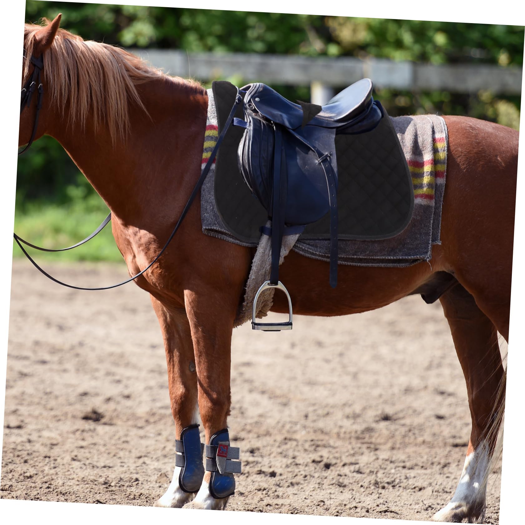 TOYANDONA Almohadilla Antideslizante para Silla de Montar para Caballo, Acolchado Eva y Algodón, Fácil de Instalar, Negro, para Montar