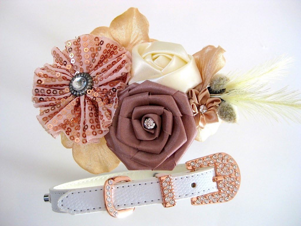 House of Furbaby Flower Dog Collar | The Beatrice | Rose Gold Wedding | Wedding Dog Collar | XS S M L (XL, White)