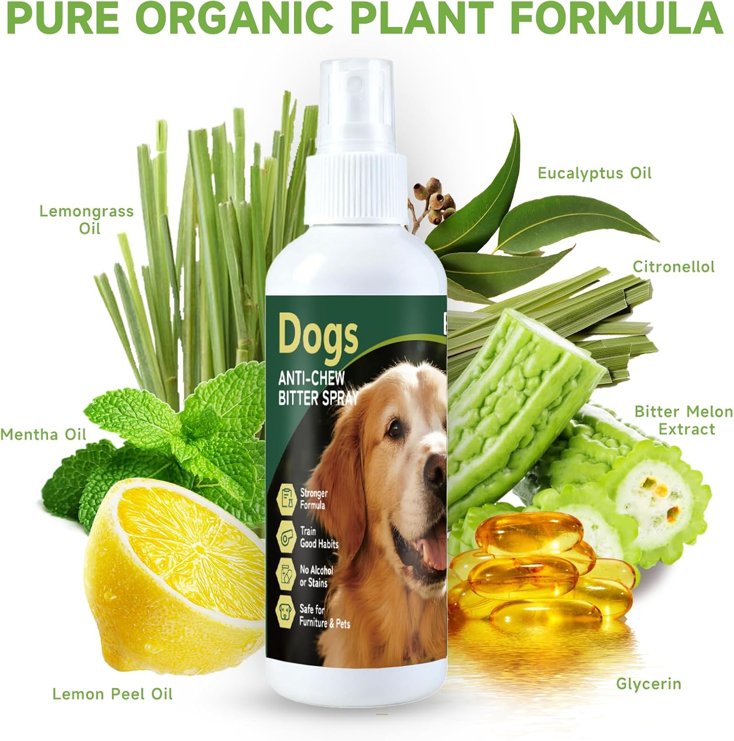 Bitter Dog No Chew Spray Pet Training Deterrent for Furniture & Carpet Safe & Natural 200ml