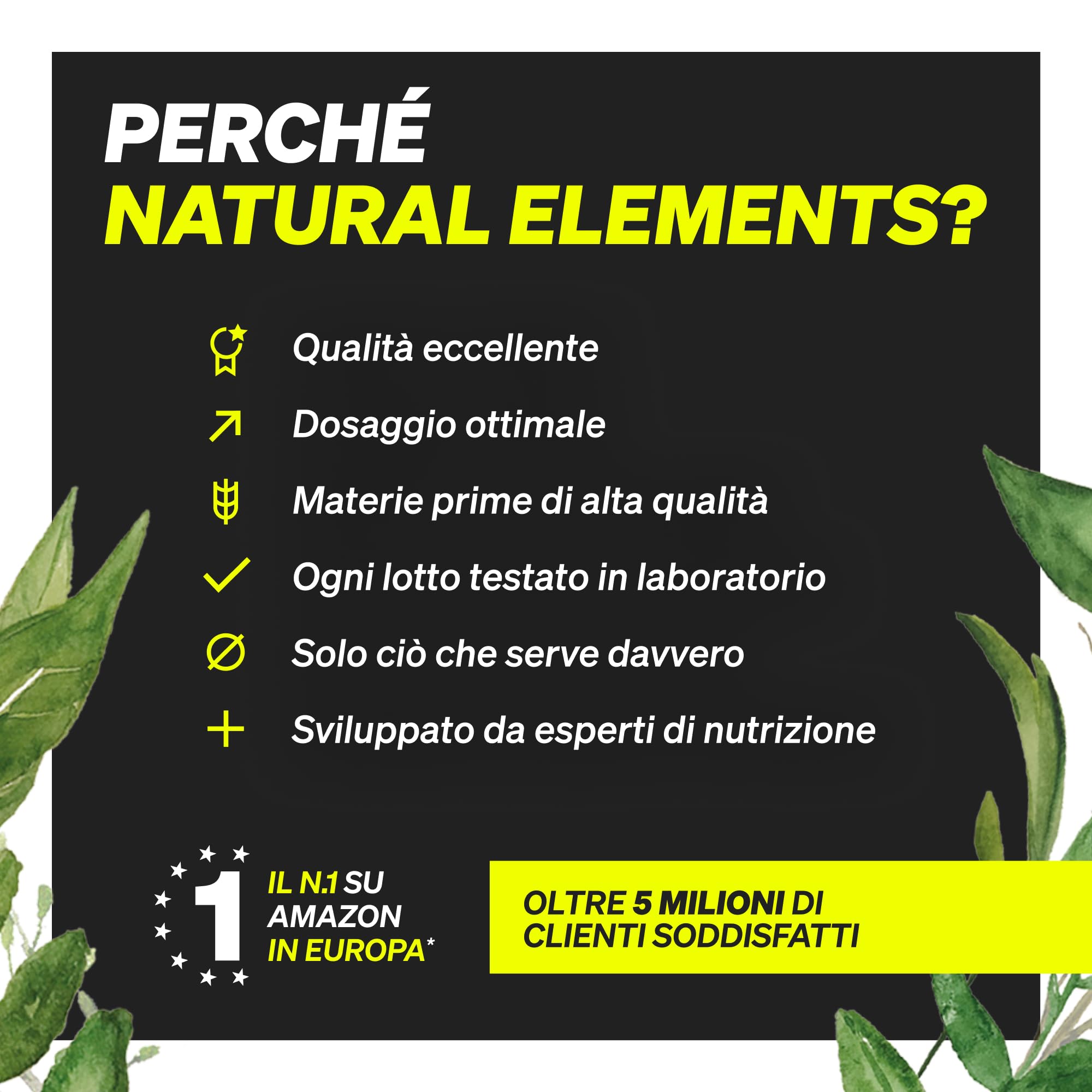 Polvere Whey alla Vaniglia 1 kg - 25 g Proteine per Porzione, Siero di Latte e Caseina, Dolcificate con Stevia, Made in Germany | natural elements
