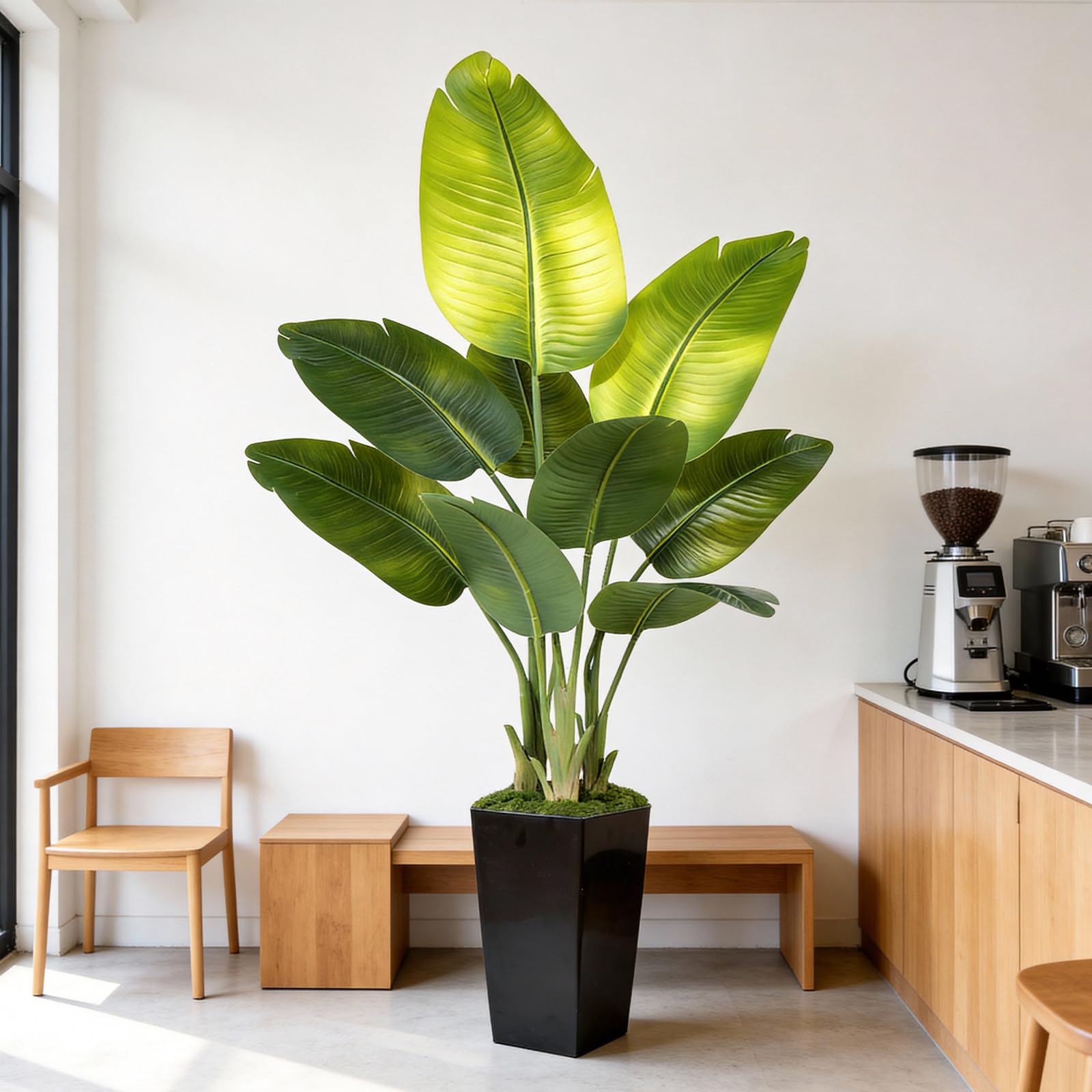 Keeplush 5ft Bird of Paradise with black tall planter