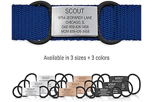 ROAD iD Silent Personalized Engraved Dog Tag for Pets