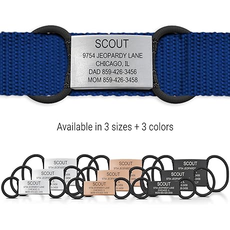 ROAD iD Silent Personalized Engraved Dog Tag for Pets