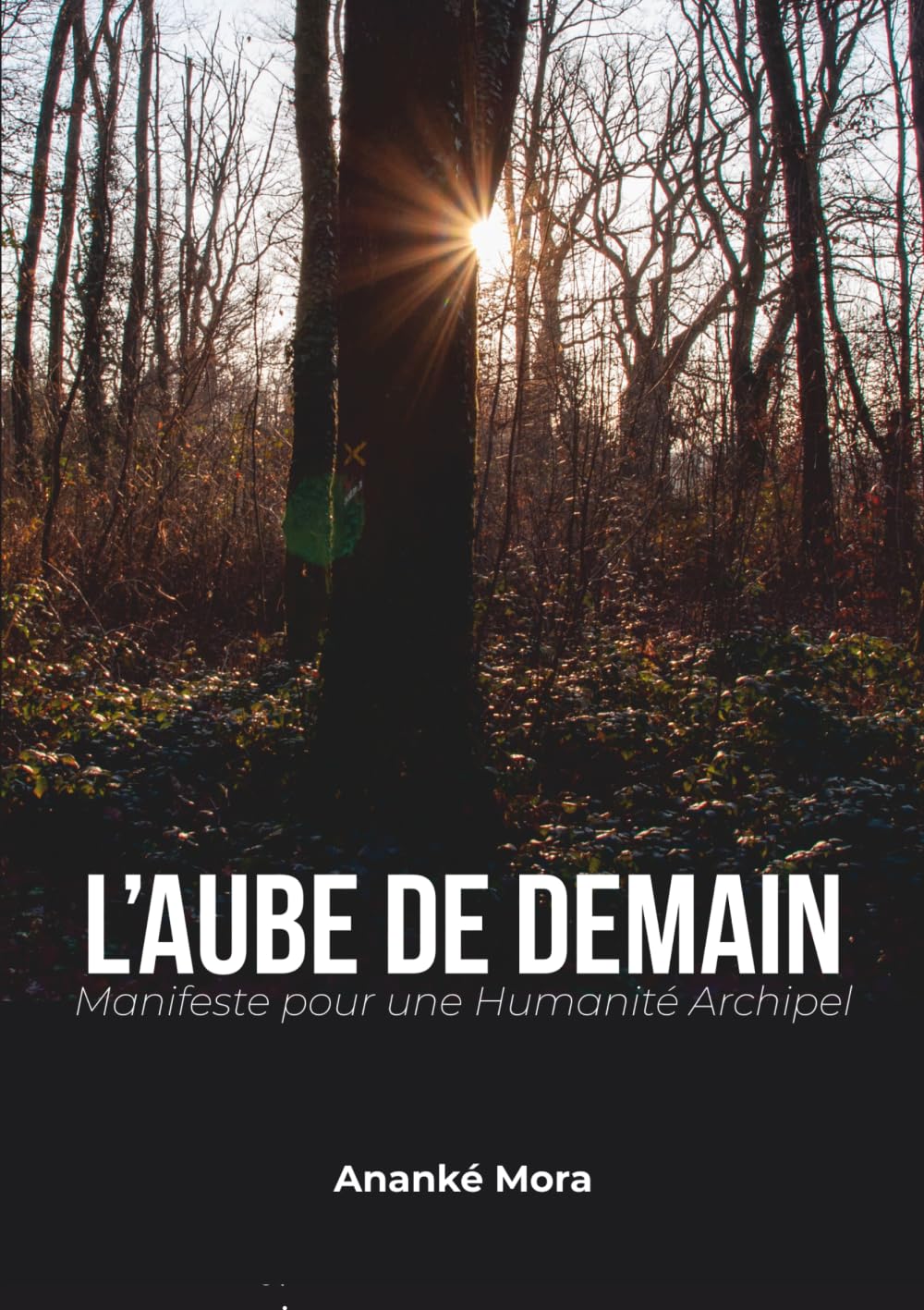 L'Aube de Demain: Manifeste pour une Humanité-Archipel