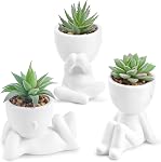 Der Rose 3Pcs Fake Plants Small Artificial Succulent, Cute Faux Plants for Home Bathroom Living Room Office Desk Shelf Black Decor Indoor