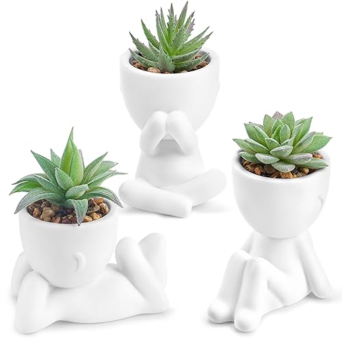 Der Rose 3pcs Fake Succulents Plants Artificial for Bathroom Bedroom