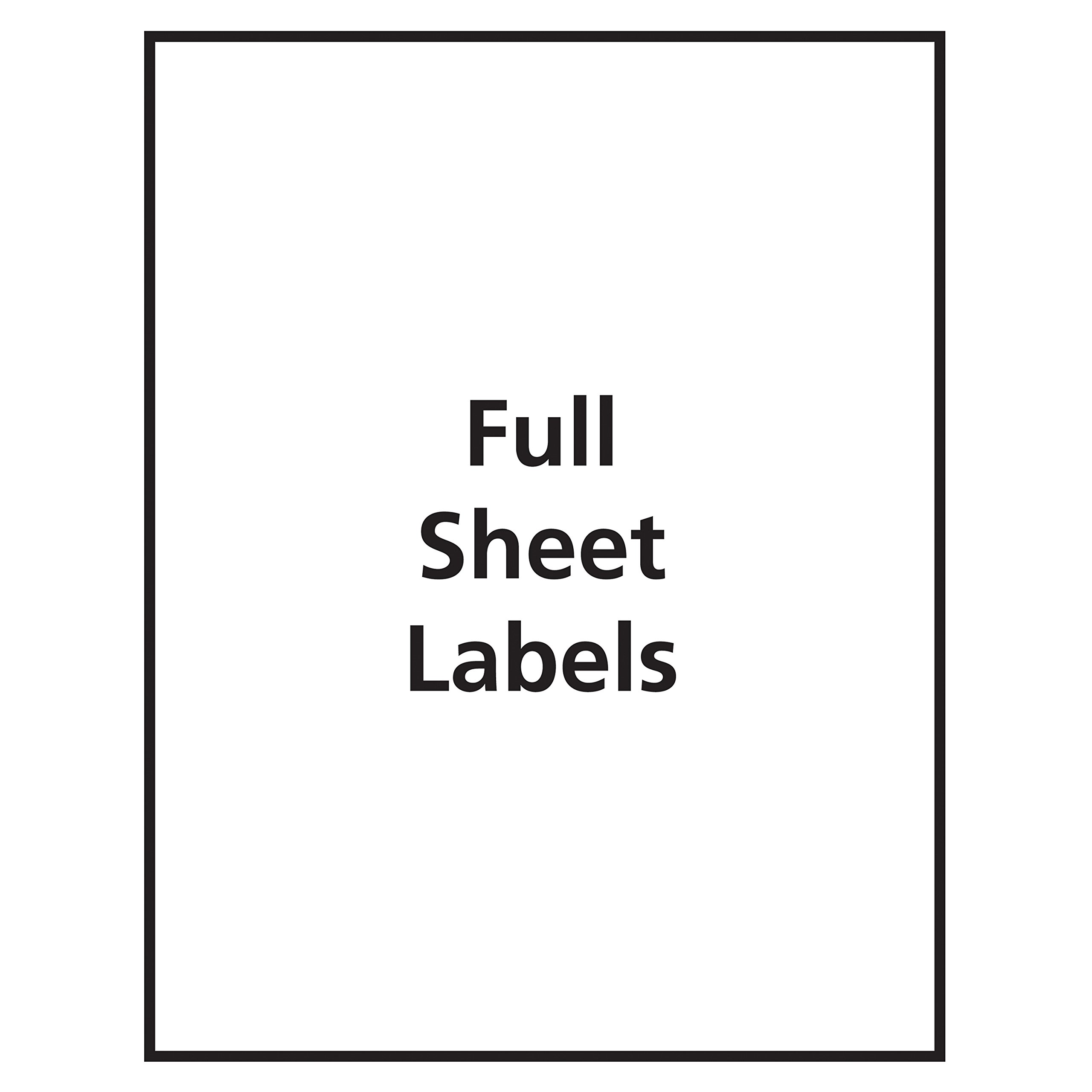 Avery Full Sheet Printable Shipping Labels, 8.5" x 11", Matte Clear, 25