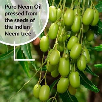SUPERthrive Pure Neem Oil Natural Leaf, 128 Fl Oz (1 Gallon), Concentrate
