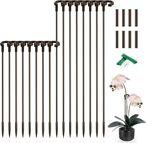 Patio, Lawn & Garden
