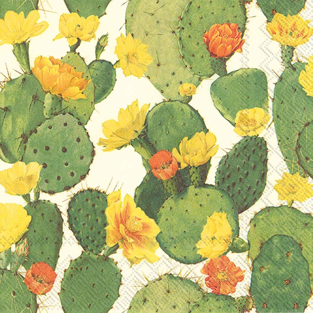 Boston International C768960 Premium Paper Cocktail Napkins, 5" x 5", Cactus Cream