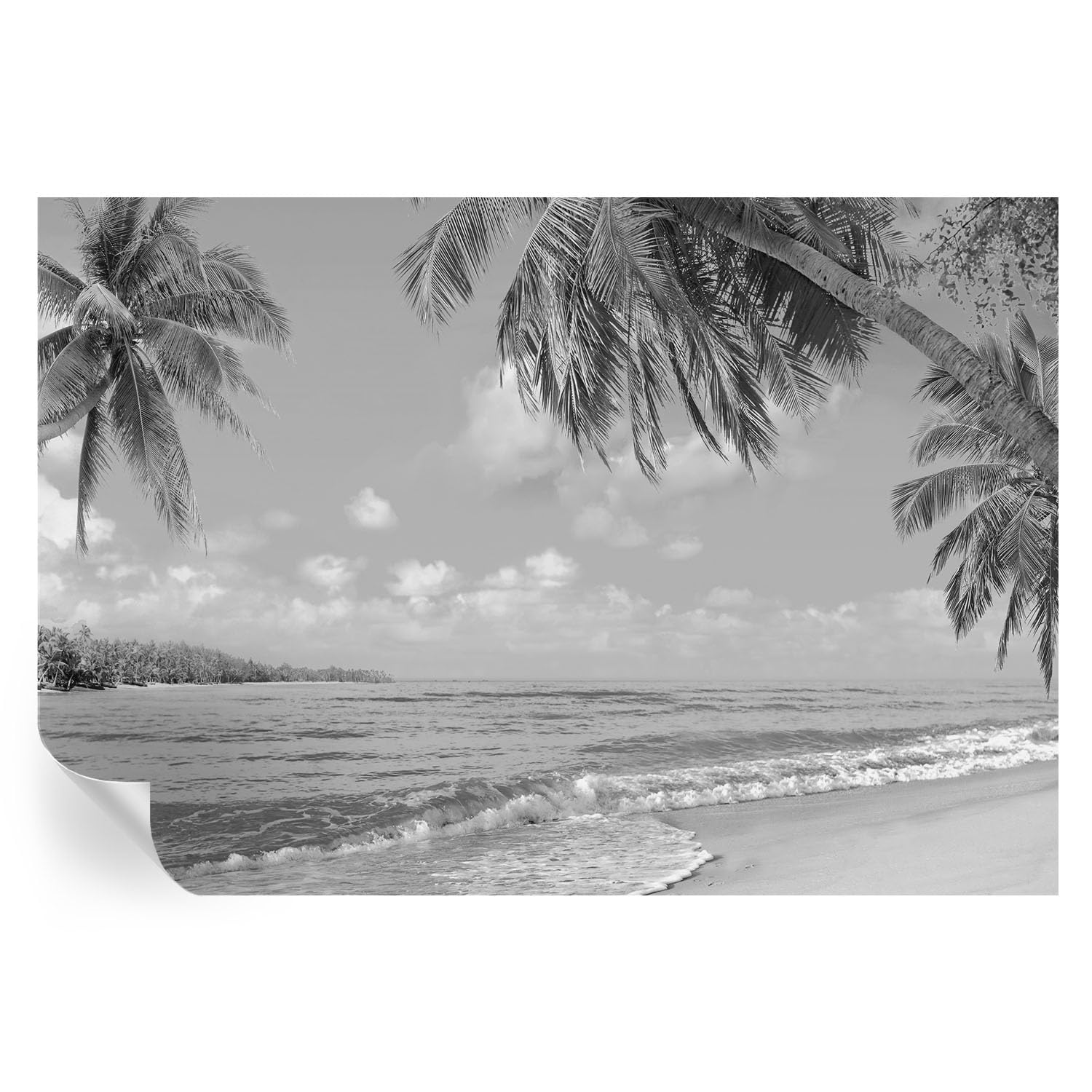 Vinilos de paraíso tropical 152x104 cm para decoración de pared