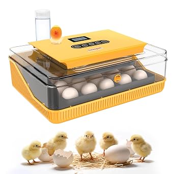 25 Eggs Incubator, Incubators for Hatching Eggs, with Automatic Egg Turner and Temperature & Humidity Control, Egg Candler, for Hatching Quail, Chicken, Duck, Goose Eggs