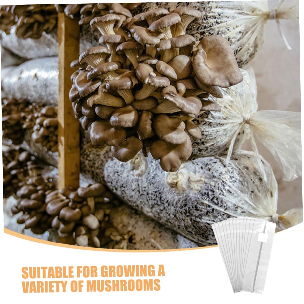 50pezzi Sacchetti Per Coltivazione Funghi Design Compatto e Facile Da Usare Per Giardinaggio Indoor e Laboratori Materiale Traspirante Con Filtro