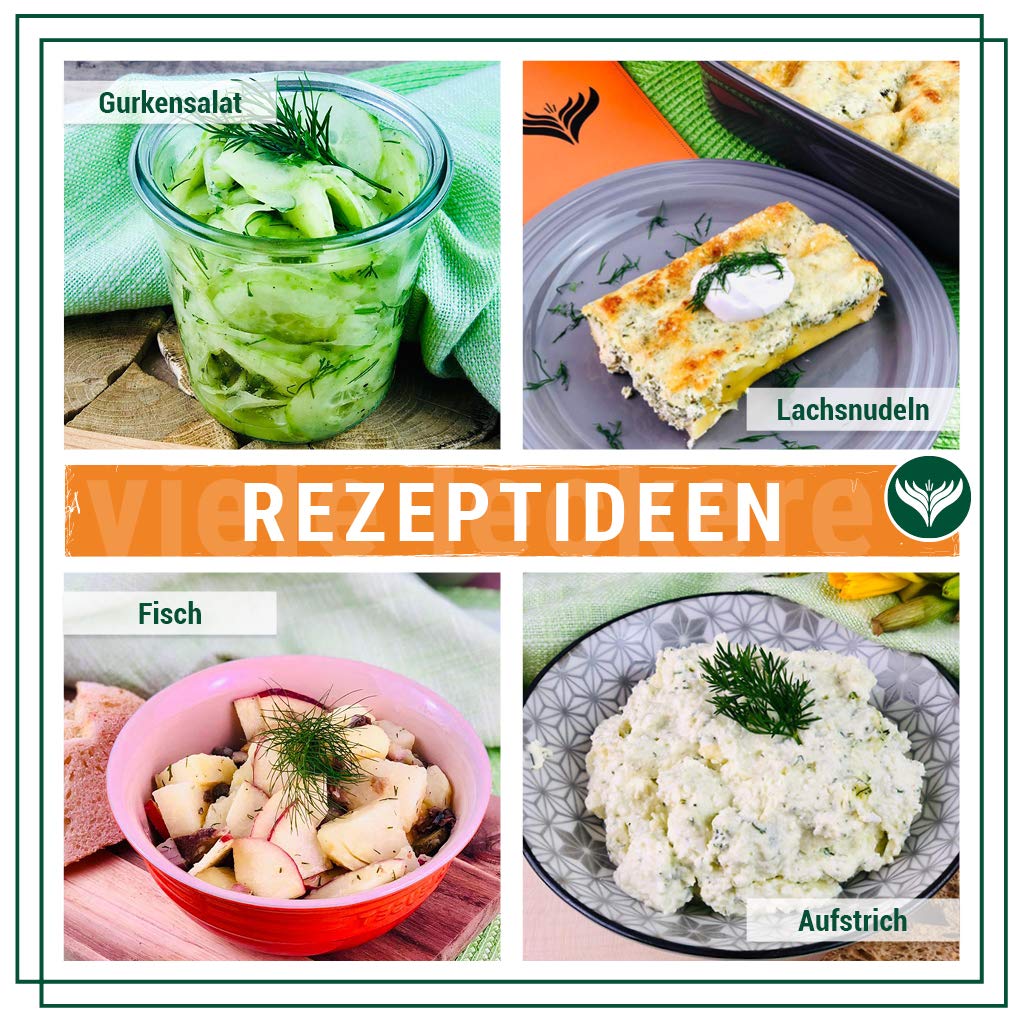 Azafran BIO Dill - Dillspitzen getrocknet 1kg