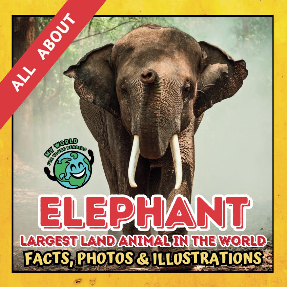 All about the Elephant | Facts, Photos and Illustrations: A Picture Book for Kids and Toddlers | Screen-Free Infotainment