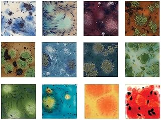 Crystalites Glaze Set 4 oz - 12 Jars