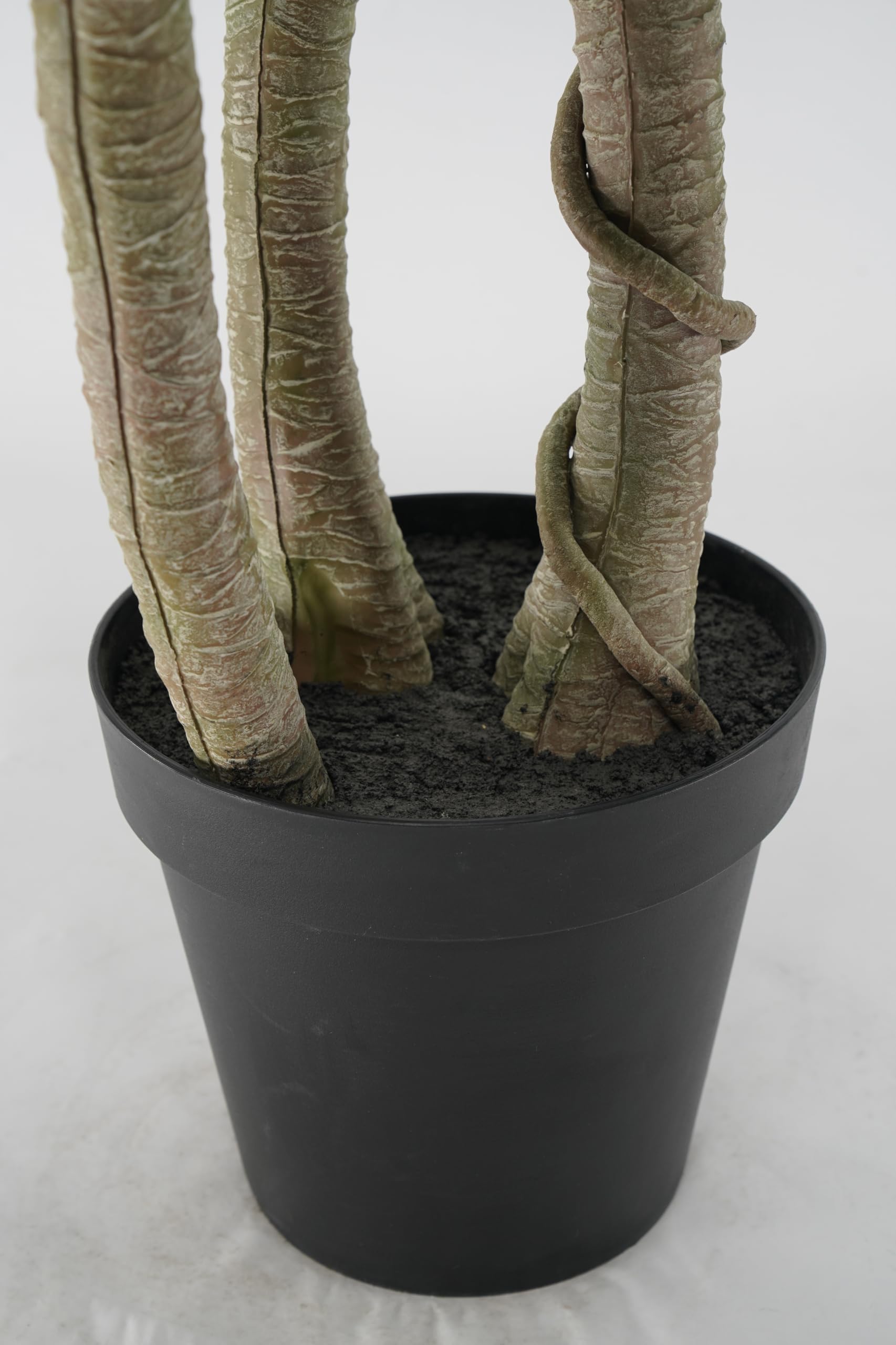 Yucca Pianta Grassa Sintetica da Arredamento Realistica 165 cm, Foglie PVC, per Spazi Interni, Abitazioni Residenziali e Attività Commerciali