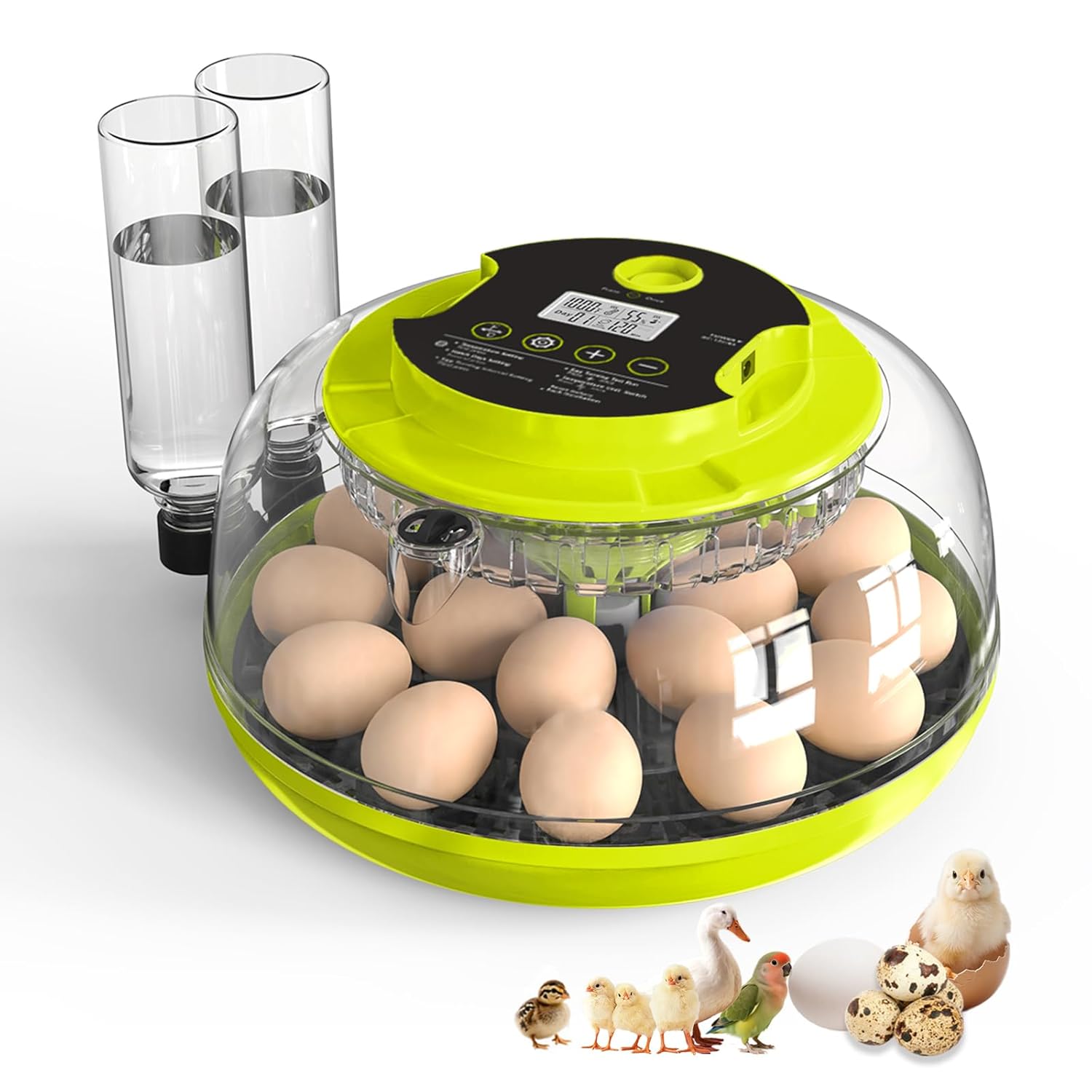 Incubator for eggs, 18-capacity with egg Turner