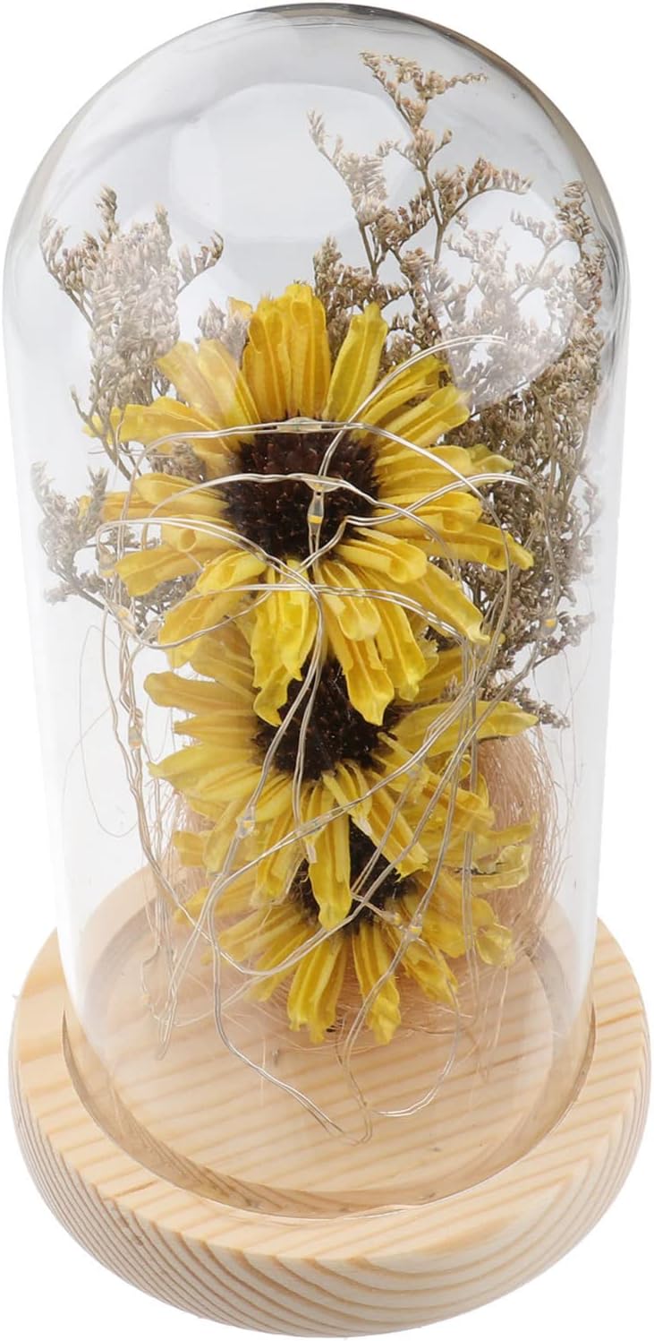 OSALADI 1pc Sunflower Led Lamp Sunflower Light Mini Dome Lamp Light Decoration Glass Decor Led Plant Night Flower Dome Flower