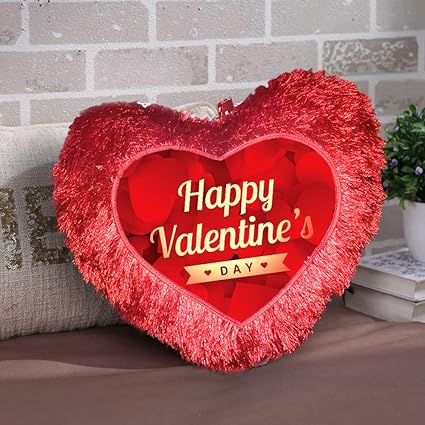 DreamVio Love Heart Shape Valentine's Day Gifts Fur Cushion,Plush Pillow for Gifting on Birthdays,Anniversaries Color - Red (Size- 15x17 inch) Shape 16