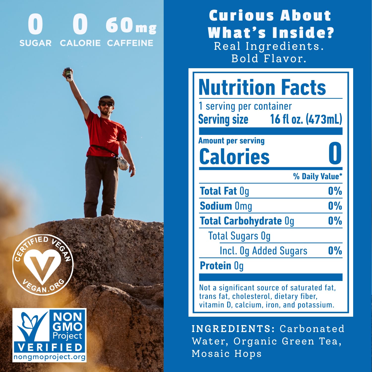 HOPLARK Sparkling HopTea – The GREEN TEA ONE – Tall 16fl oz cans (pack of 12) – Mosaic Hops and Sparkling Green Tea – L-Theanine – Antioxidants – Polyphenols – Unsweetened – Caffeinated – Zero Calories